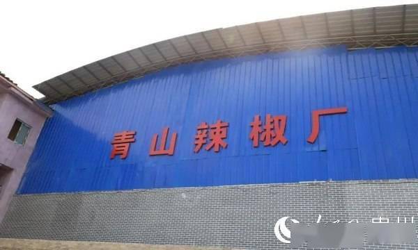 金海湖新區(qū)規(guī)劃建設(shè)辣椒加工廠，延長(zhǎng)產(chǎn)業(yè)收益鏈